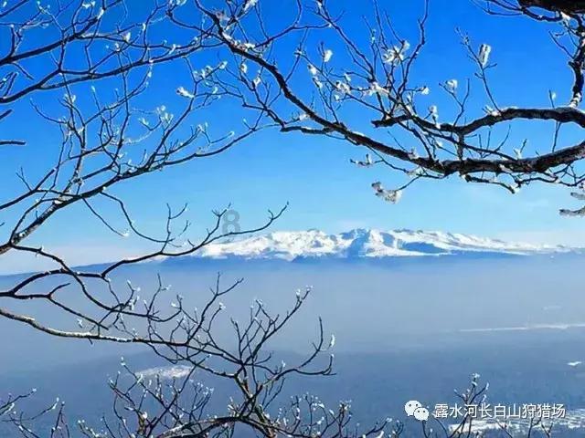 我的百度知道为什么不能微信提现了游戏画面